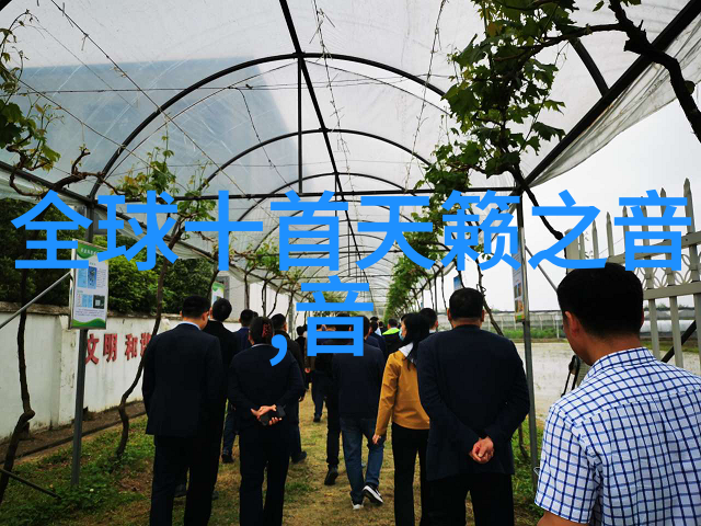 电视剧代号山豹探索英雄的逆袭之路