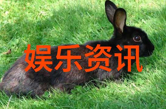 回忆与梦想交织的岁月探索我的前半生电视剧中的成长主题