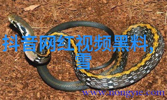 今日台海新闻最新消息南向政策引发新动向两岸关系再次交汇点火