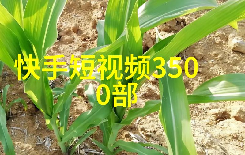 美丽背后一张不起眼的头像与它隐藏的故事