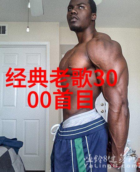 日B再现追忆与期待的交织