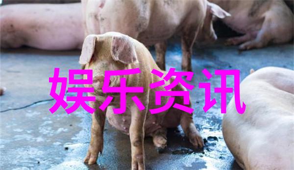 爱的旋律解读我的青春遇见你电视剧情感线索