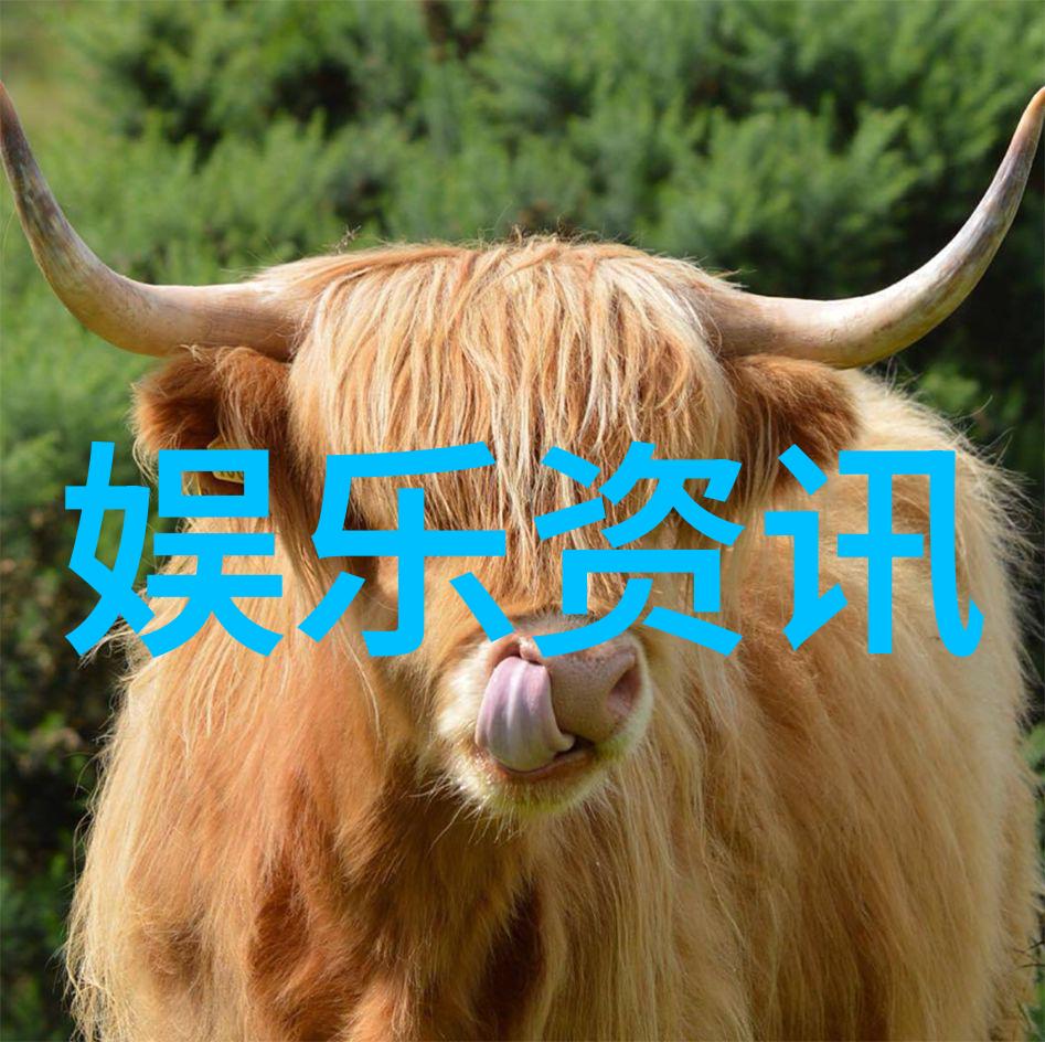 精美图片壁纸唯美我要给你的手机装上一张让人心动的壁纸
