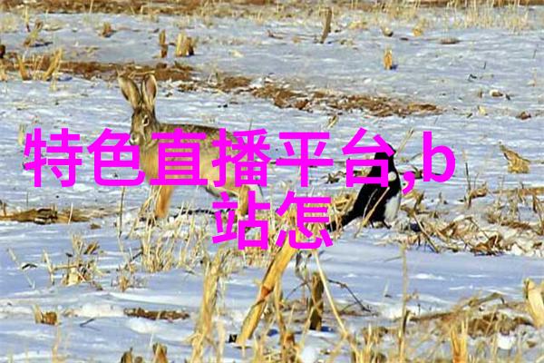 电视剧中的不朽之恋能否仅凭一颗精美的钻石来完成吗