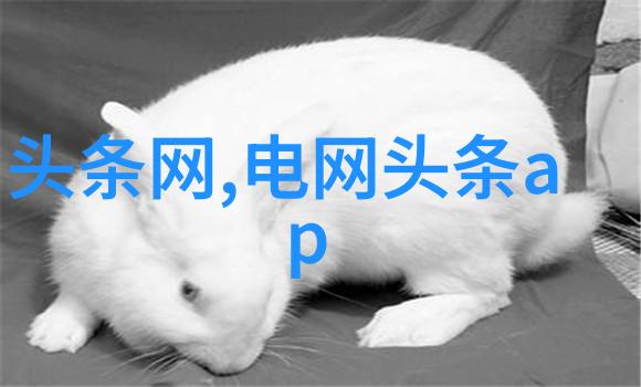 科技与艺术的交汇点2022年最具创意的数字艺术作品