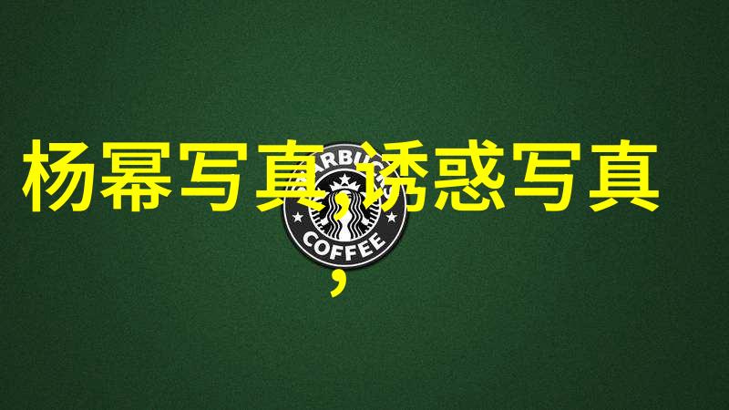 国际影响与国内承受不要台湾岛的后果分析
