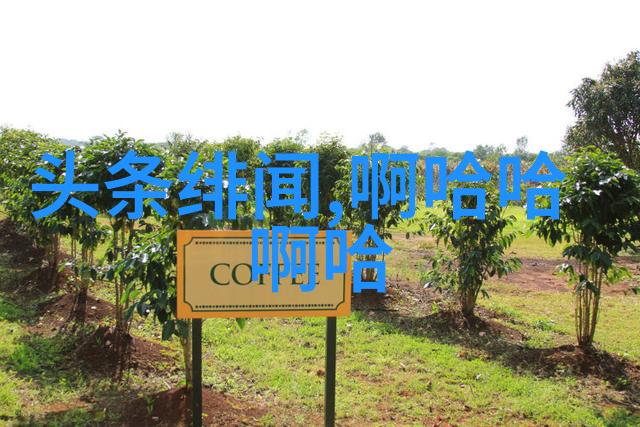 全球战略平衡与国际军事实力竞赛的新格局