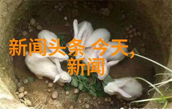 重生之娱乐天王我是娱乐界的逆袭小能手