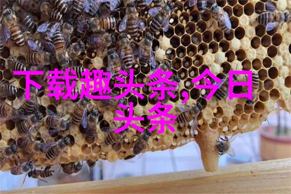 时尚女王春季轻盈之舞