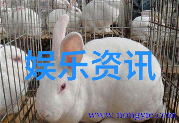 艺术写真我与时光的约会捕捉生活的美好瞬间