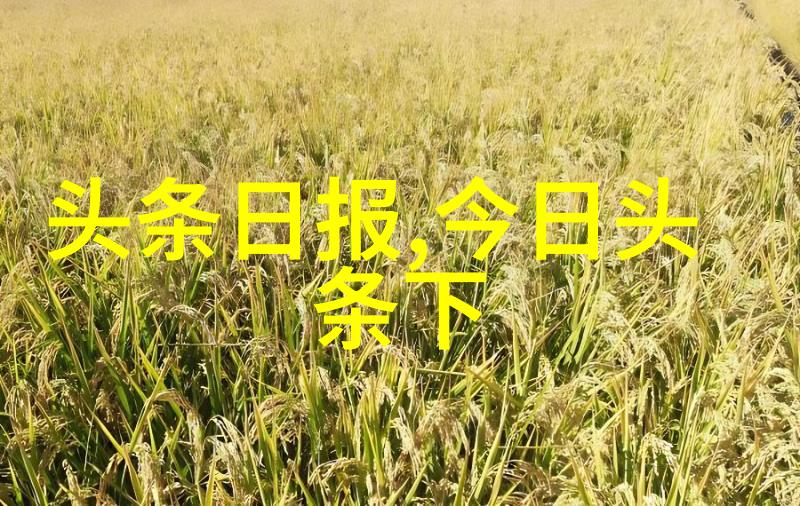 背后的影子揭秘盗情的真相