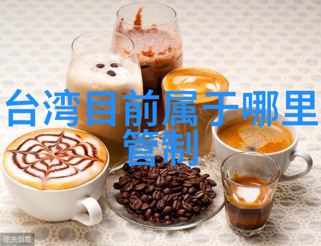 安徽综艺频道星光闪耀的春晚之旅
