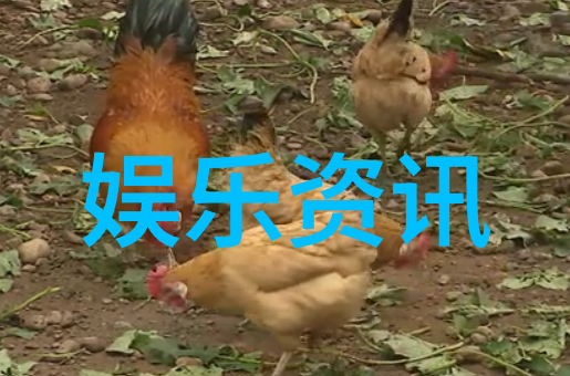 少女写真中的甜心校花朱琦郁私照你觉得她清丽可人吗