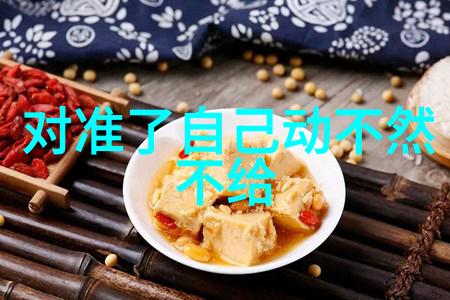 大陆集团公司简介企业文化与全球化战略的完美融合