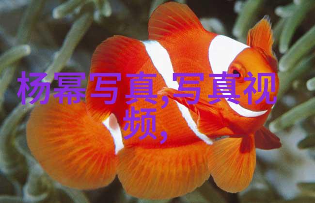国外b站直播app - 探索国外Bilibili直播应用的新纪元