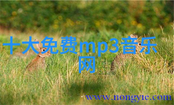 东方日报头版头条中国航天新纪元探索未知开辟新天地