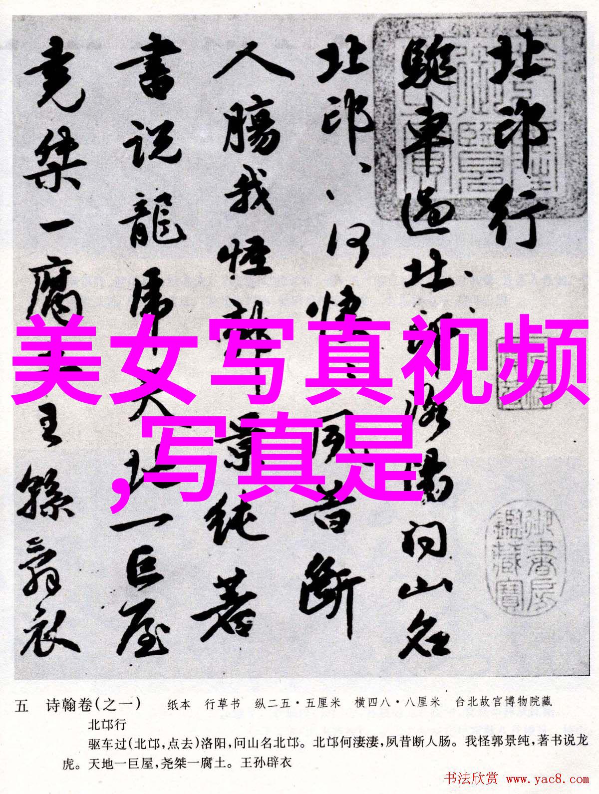 盛世谋臣朝廷策士智慧与忠诚的化身