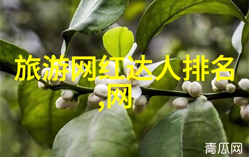 娱乐圈背后的黑暗真相与谣言的纠缠