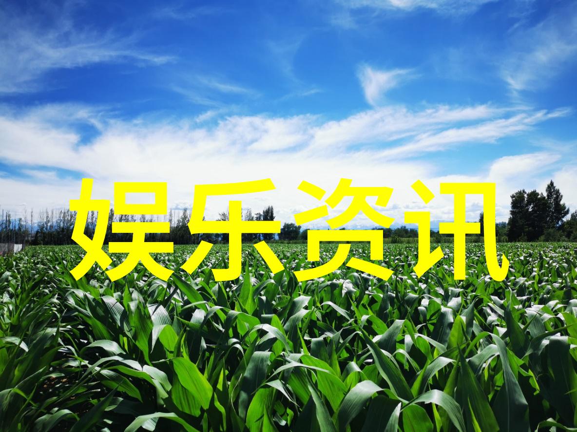 台海冲突最新消息今天-紧张局势升级台海双方军事动态与外交对话的最新进展
