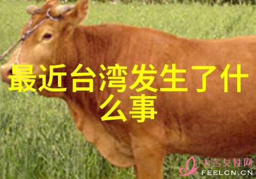 电影之巅磐石不倒的艺术之城