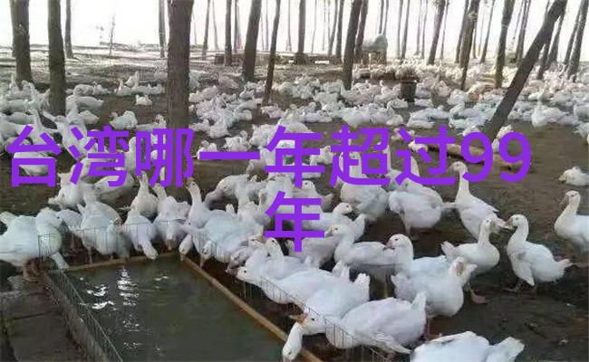 和声共鸣深入分析那些在无需付费中吸引了我们耳朵的2022年度热门歌曲