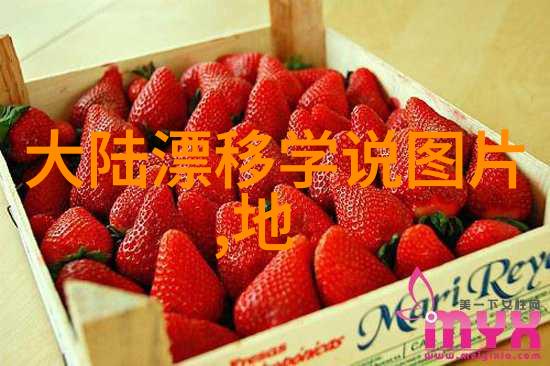 免费占卜师一事一占的神秘预言家