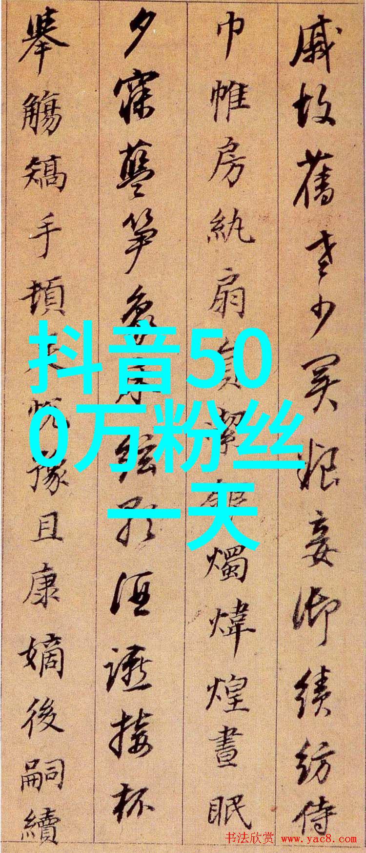 李健照片展览音乐与美学的对话