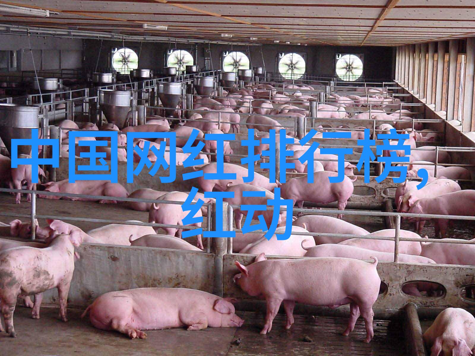 在那片柔和的暮色中哪一抹淡淡的忧伤最能触动你的心弦