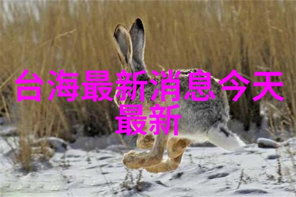 网络一夜爆红从默默无闻到万人瞩目的奇迹变身