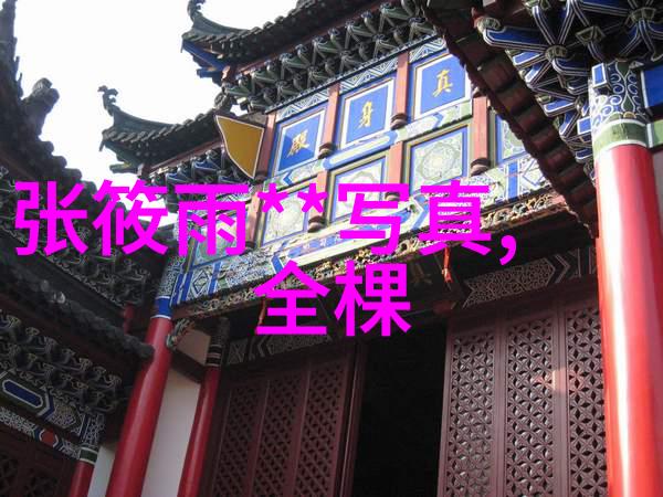 青春盛宴探秘极品娱乐界的璀璨星辰