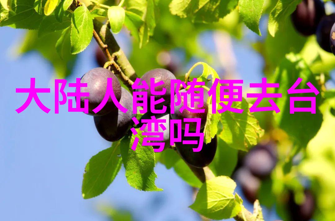 下载酷狗音乐版本大全需要支付费用吗
