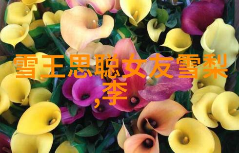 探秘我的小后妈完整版HD电影情感纠葛与视觉盛宴的完美结合