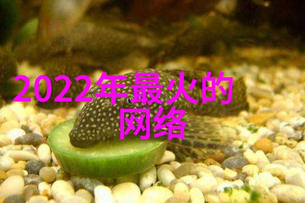 揭秘八卦文化探索讲八卦背后的真谛