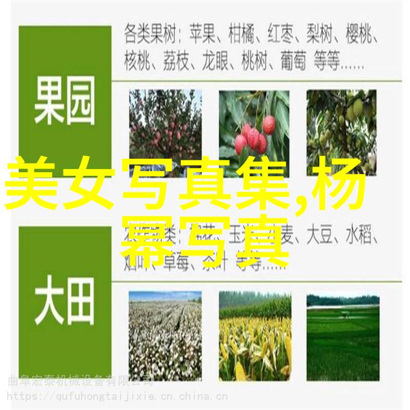 你是我的女人4韩国中字电影首支片段亮相戛纳入围5月20日全球首映引发海内外热烈期待
