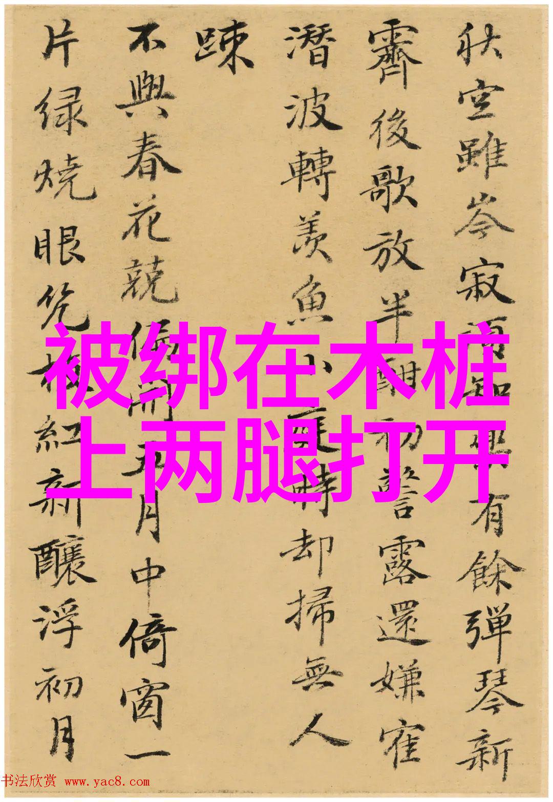 中国股市迎来新一轮行情反弹A股指数大幅上涨