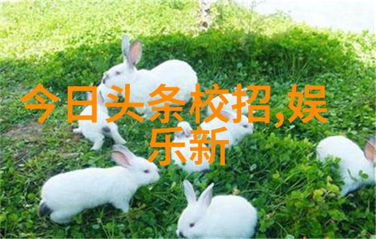 韩国搞笑综艺-笑声满载探索韩国最爆笑的娱乐节目