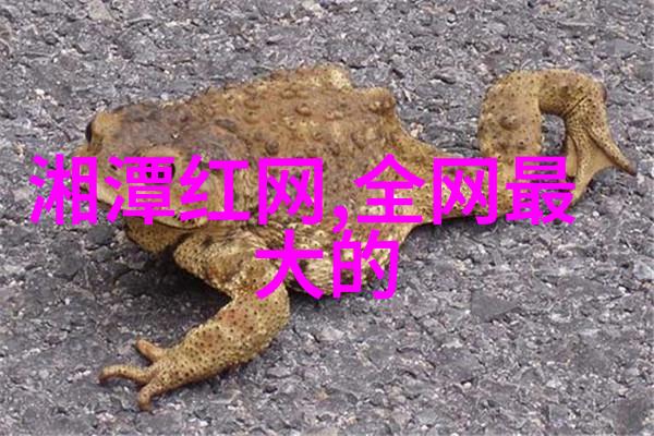 甜蜜秋收芋头条的故事