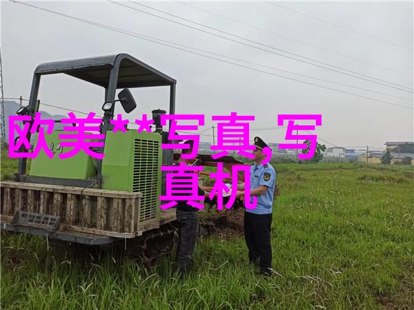 群飞美人刘亦菲刘诗诗杨幂与杨颖的电影梦