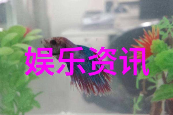 LE SSERAFIM璁稿厑鐪熺璇婃柊鍐 鍏朵粬鎴愬憳鏃犵壒娈婄棁鐘
