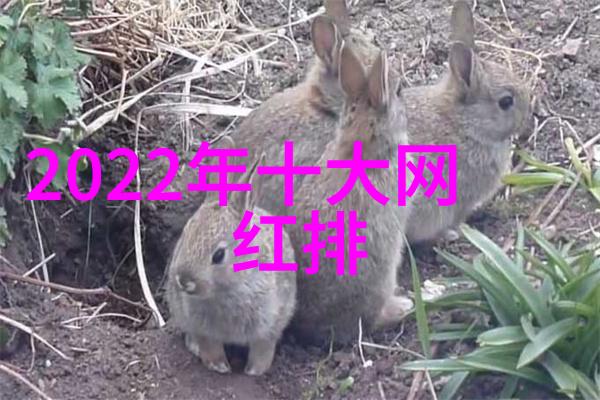 娱乐新闻星光闪耀的夜晚巨幕上的奇幻之旅
