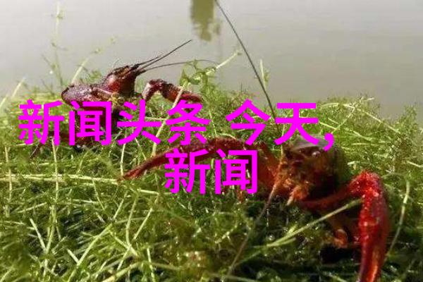 音乐技术-探索顶级无损音乐播放器app音质与体验的极致
