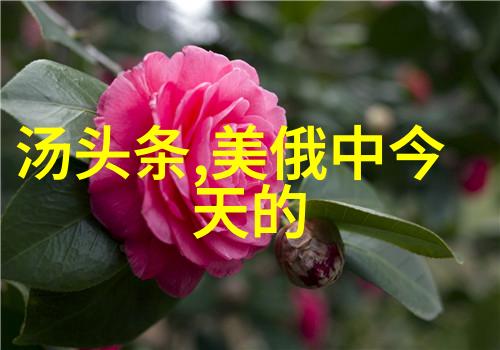 赵雅芝时光静谧汤芳照耀的不老美丽