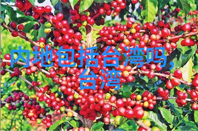 台湾综艺我是如何在康熙来了上捡到一笔小财的