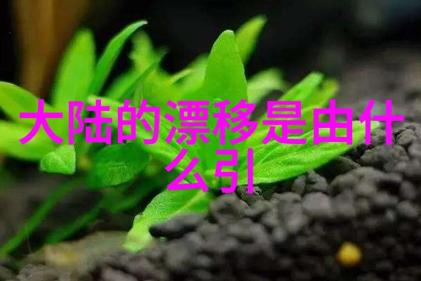 综艺全记录现在就出发跟随我们走进星光世界