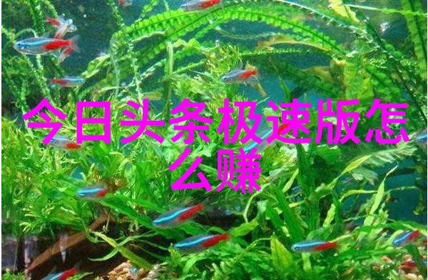 静默中的狂欢