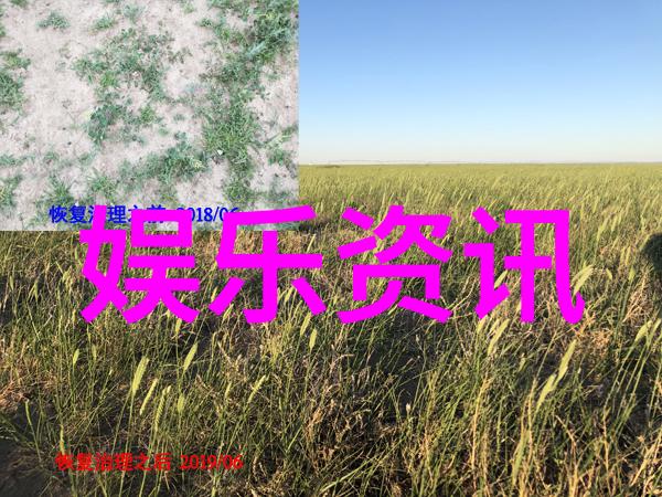五行八卦测试深度解析中国传统占星术中的五行八卦