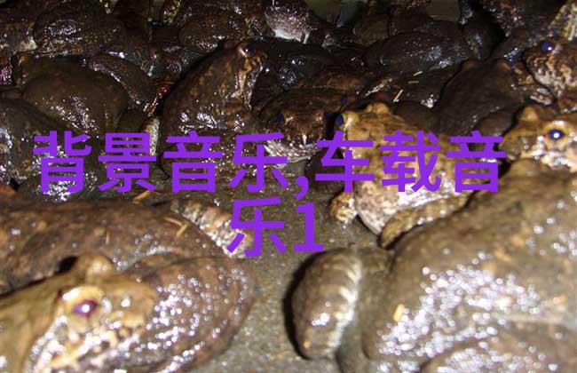 天天娱乐-欢声笑语满天下探索天天娱乐的魅力