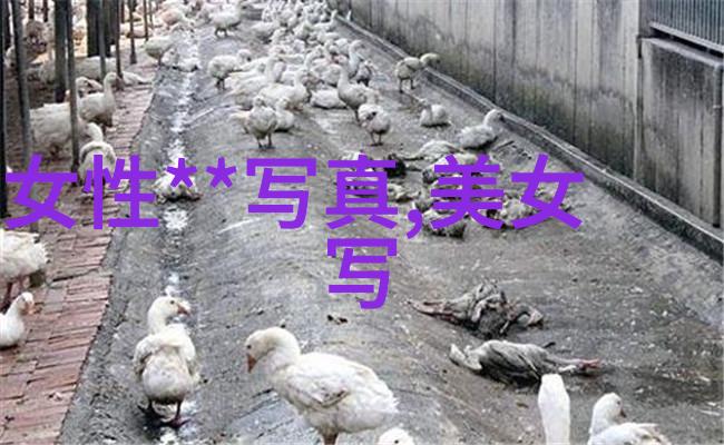 电网头条我眼见的这场黑天鹅事件城里停电了你准备好了吗