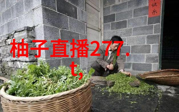 酷狗音乐2022最新版下载探索音乐无限可能的新篇章