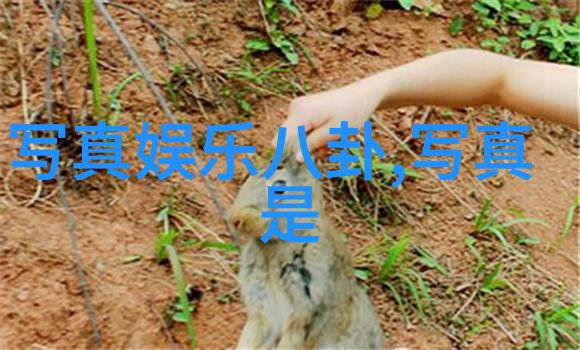 探索人际关系的美好真实故事与温馨瞬间